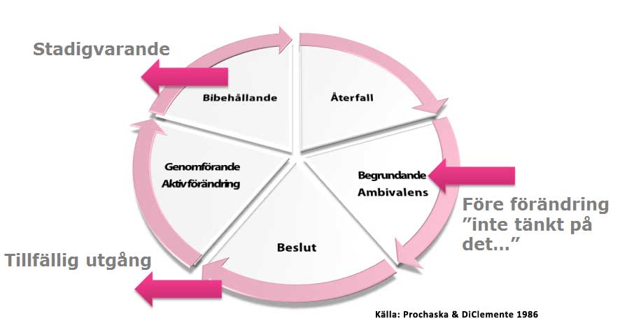 Förändringsprocessen